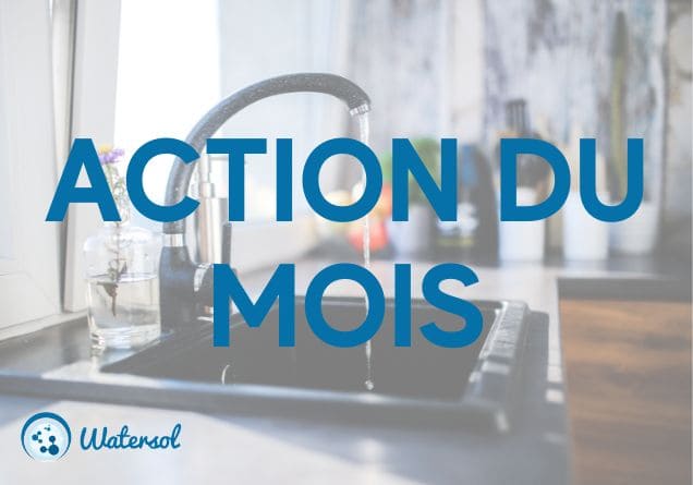 Action du mois